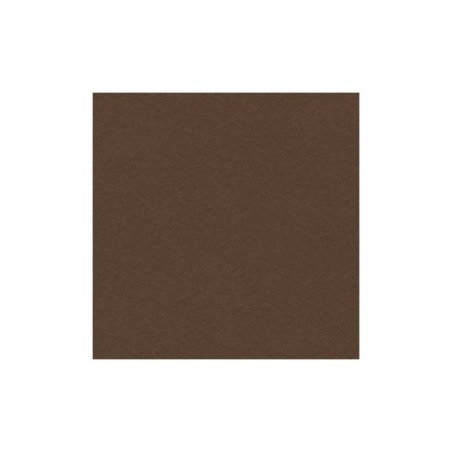 Cartolina Canson Iris Vivaldi 185g A4 (34) 200040176 Emb.50F Chocolate