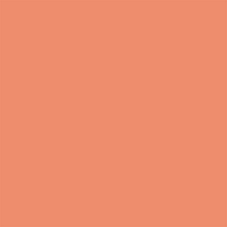 Cartolina Canson Iris Vivaldi 185g A4 (84) 400108018 Emb.50F Coral