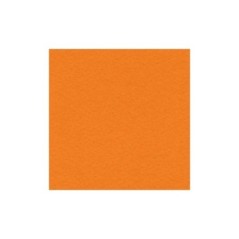 Cartolina Canson Iris Vivaldi 185g A4 (09) 200040158 Emb.50F Laranja