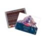 Lápis de Cor Derwent Coloursoft 701027 Cx.24 Lápis de Cor Derwent Coloursoft 701027 Cx.24