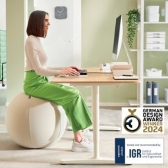 Banco Bola Insuflável Leitz Ergo Active 6542-00-85 Cinzento
