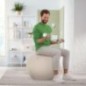 Banco Bola Insuflável Leitz Ergo Active 6542-00-85 Cinzento Banco Bola Insuflável Leitz Ergo Active 6542-00-85 Cinzento