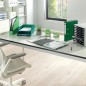 Capa Dossier Leitz Standard 4191-01-55 A4 PP Verde