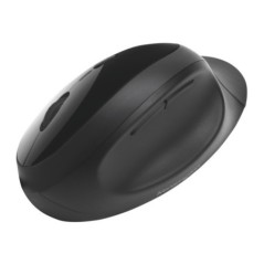 Rato Kensington K75404EU sem Fio Pro Fit™ Ergo